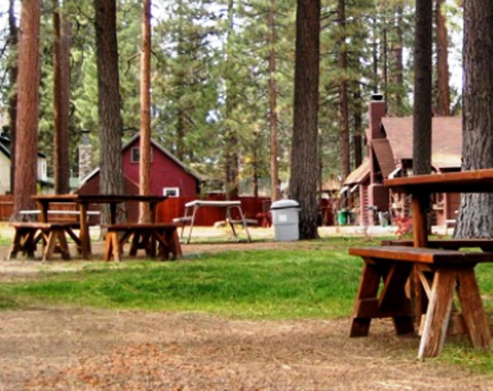 Majestic Moose Lodge - Coptic Village Big Bear Lake Exterior foto
