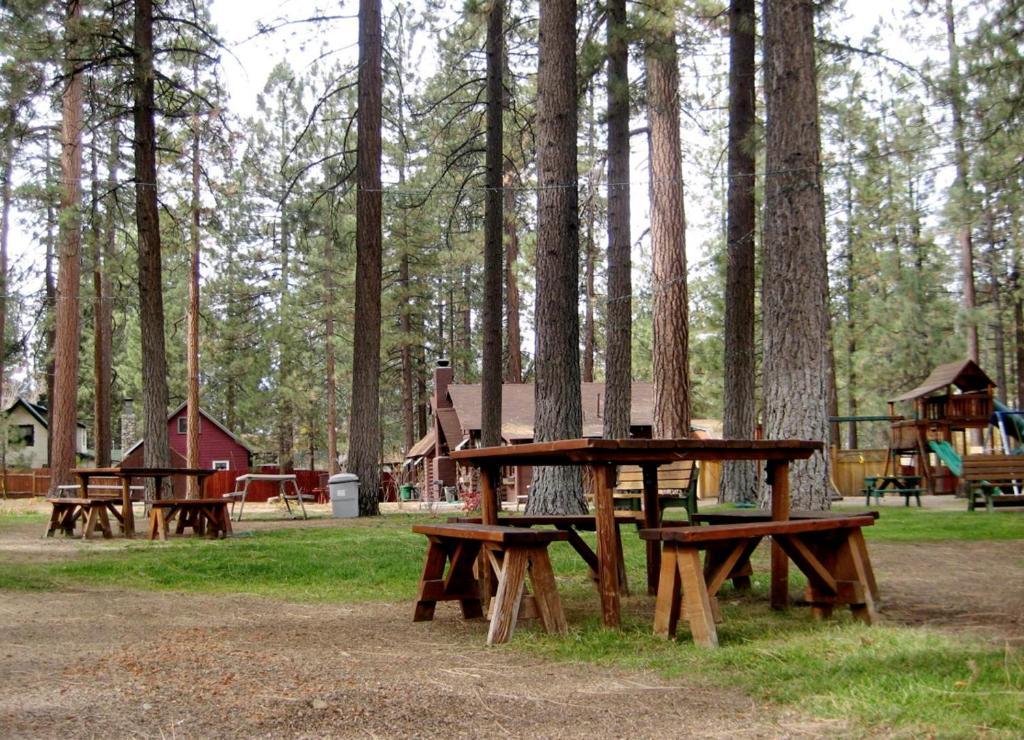 Majestic Moose Lodge - Coptic Village Big Bear Lake Exterior foto
